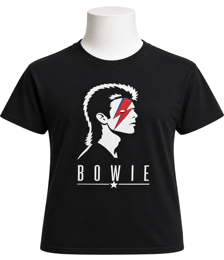 David Bowie Ziggy Silhouette LARGE